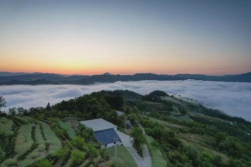 八卦山下的成语,八卦山下成语启示录