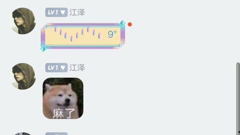 业余配音演员,梦想舞台上的幕后英雄